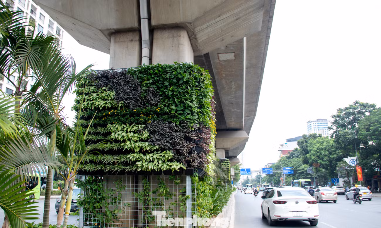 Trụ đường sắt, hầm chui Hà Nội 'lột xác' sau khi phủ cây xanh
