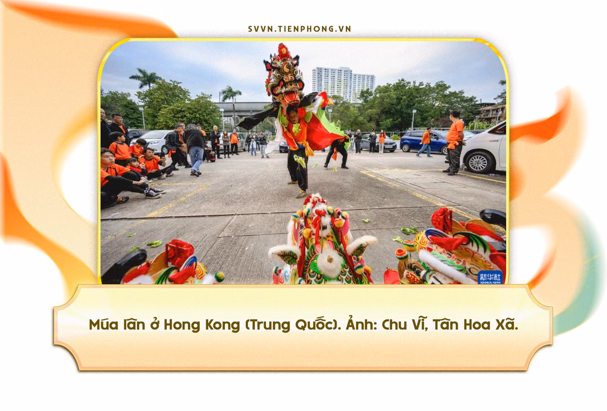 nam-con-ngua-noi-chuyen-ky-lan-6.jpg