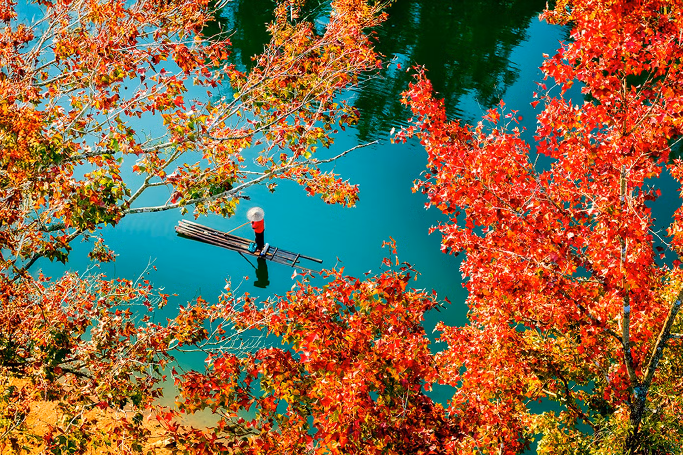 dji-20251208085629-0241-d-hdr-1.jpg