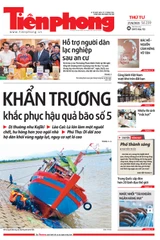Tiền Phong số 239/2025