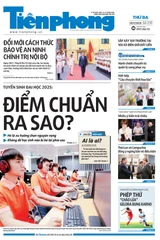 Tiền Phong số 210/2025