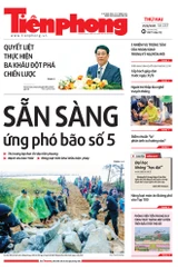 Tiền Phong số 237/2025