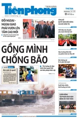 Tiền Phong số 238/2025
