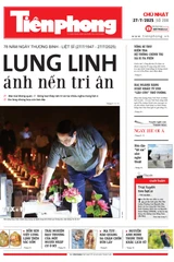 Tiền Phong 208/2025