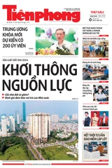 Tiền Phong số 213/2025