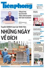 Tiền Phong số 226/2025