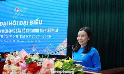 Tỉnh Đoàn Sơn La phải giữ chân thanh niên ở lại địa phương, giải quyết việc làm tại chỗ 