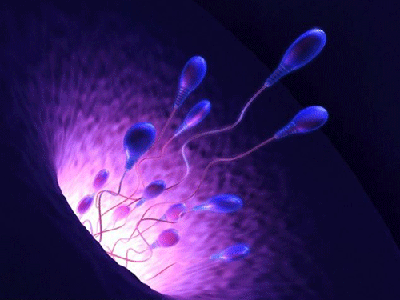 Robot tinh trùng điều khiển bằng nam châm