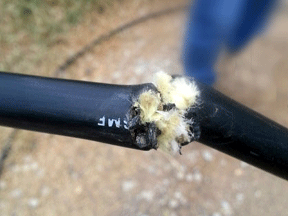 Doanh nghiệp viễn thông bị chơi xấu cắt cáp