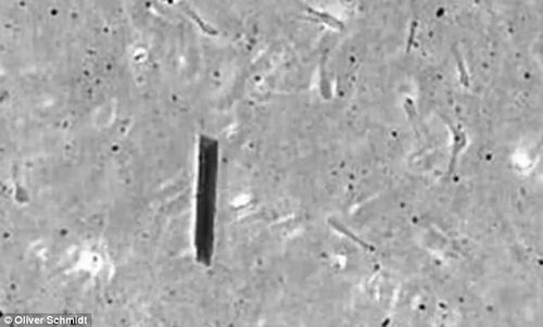 Robot chứa tinh trùng . Robot chứa tinh trùng