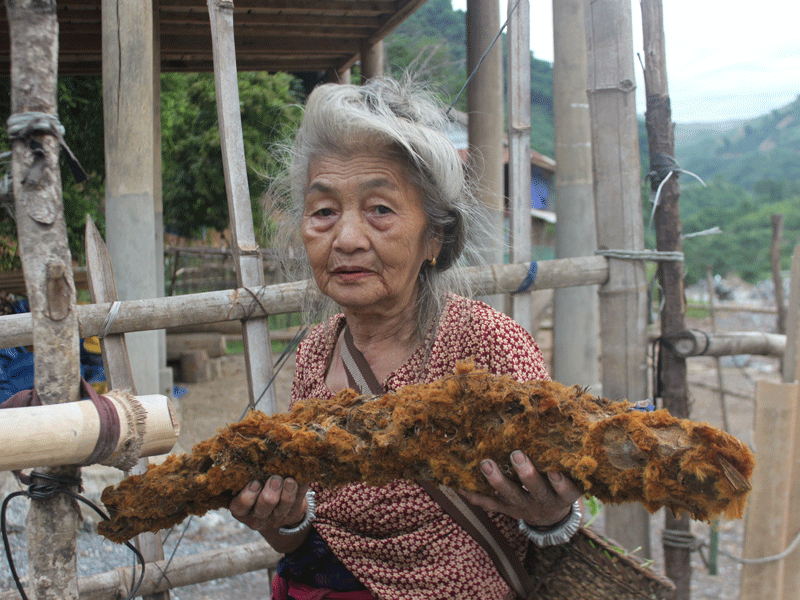 'Săn cu ly' ở miền Tây xứ Nghệ