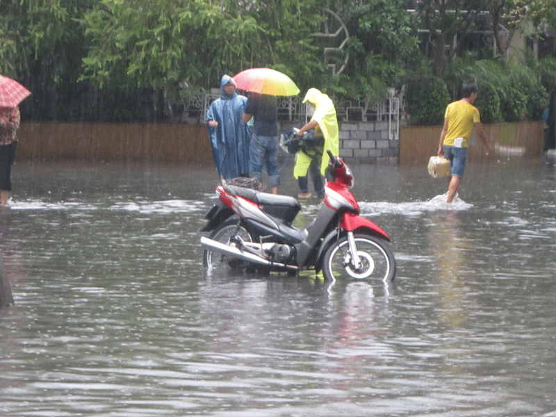 Ngay trước vòi phun nước hồ Gươm