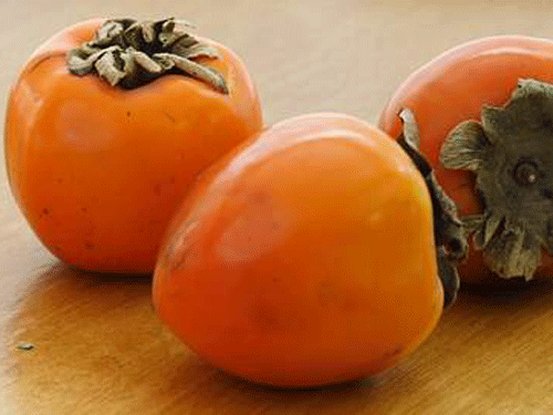  Tai quả hồng (thị đế) là phương thuốc tránh thai của người xưa