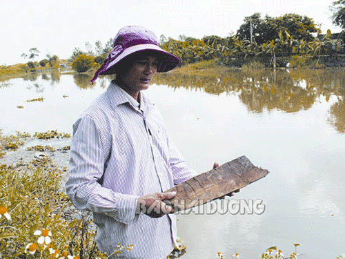 Phát hiện mộ thuyền khi đào ao