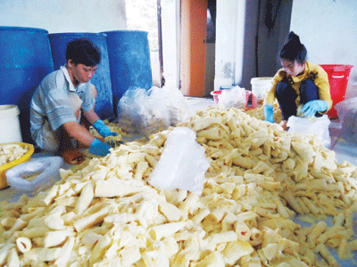 Kinh hoàng măng 'ngậm' axít