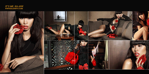 Hà Anh xây dựng khá thành công thương hiệu gợi cảm và chuyên nghiệp