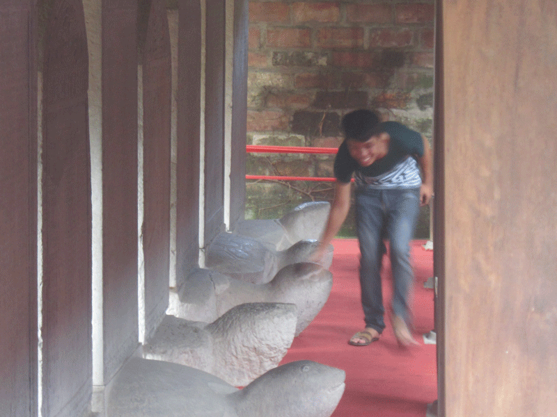 Sĩ tử thi nhau vượt rào vào sờ đầu rùa