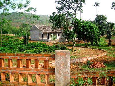 'Trọc phú' bỏ Hà Nội ôm 20 tỷ về quê