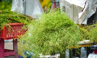 Người Hà Nội 'săn' mùi già về tắm gột rửa bụi trần, mong cầu may mắn 