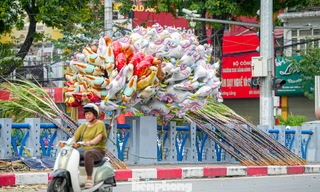 Mía lộc thắt nơ đỏ đổ bộ đường phố Hà Nội chờ Giao thừa