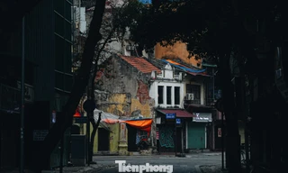 Vẻ đẹp hiếm có của Hà Nội trong buổi sáng đầu năm