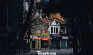 Vẻ đẹp hiếm có của Hà Nội trong buổi sáng đầu năm