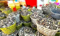 Chuyện gì đang xảy ra với hàu Quảng Ninh? 
