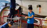 Nữ kỹ sư hàng không sáng tạo vì an toàn của những chuyến bay