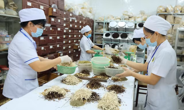 Bộ Y tế đang dự thảo Thông tư hướng dẫn hoạt động của y học cổ truyền trong cơ sở khám bệnh, chữa bệnh nhằm xây dựng hành lang pháp lý hướng dẫn các cơ sở khám bệnh, chữa bệnh thực hiện các hoạt động y học cổ truyền, đảm bảo thực hiện tốt chăm sóc sức khỏe nhân dân. Ảnh: Baochinhphu.vn.
