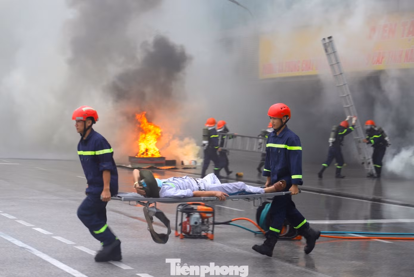 tp-17.jpg