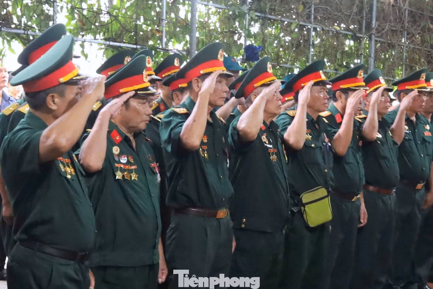 tp-33.jpg