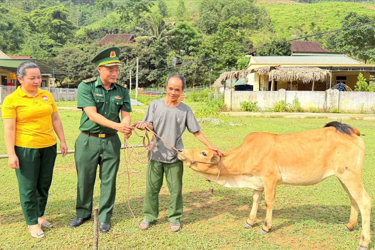 ゲアン省山岳地帯の人々に繁殖用の牛を提供する 16.jpg