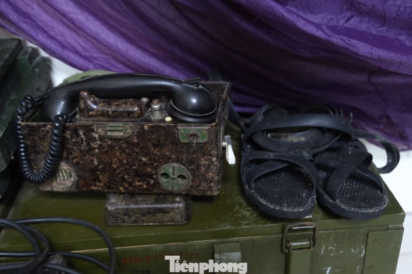tp-11.jpg