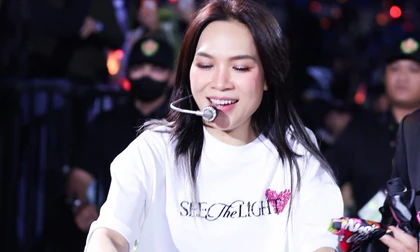 Mỹ Tâm gặp sự cố 