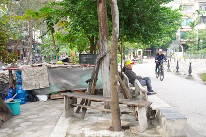 Công viên tại trung tâm Hà Nội bị hàng quán lấn chiếm, bãi cỏ thành nơi trồng rau