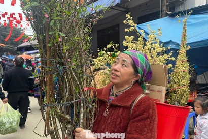 Chợ phiên Bắc Hà rực rỡ sắc xuân những ngày giáp Tết