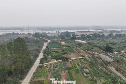 Cận cảnh khu vực làm 3 'siêu đô thị' tái định cư cho Trục đại lộ cảnh quan sông Hồng