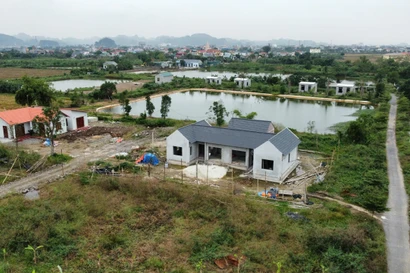  Vi phạm trên đất nông nghiệp diễn ra tràn lan ở Ninh Bình