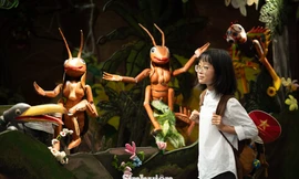 Thuỷ đình múa rối 'mọc' giữa Hội chợ mùa Thu: Giới trẻ bất ngờ vì 'quá đẹp và kỳ công'