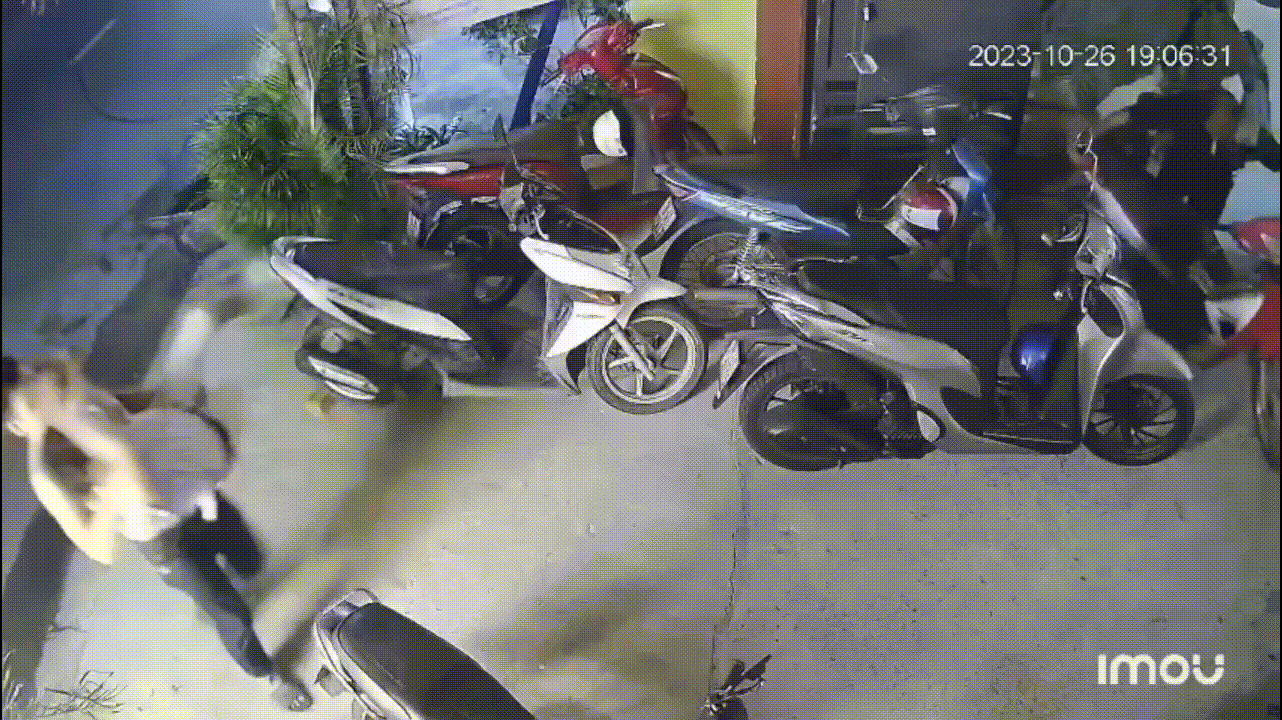 tienphong.vn