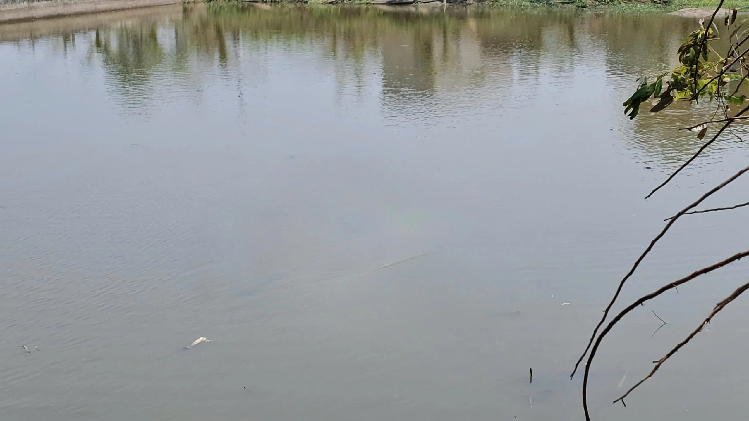 Đắk Lắk: Hai học sinh tiểu học tử vong do đuối nước tại hồ chứa