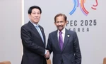 Phát triển hơn nữa quan hệ thực chất Việt Nam-Brunei