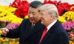 Nhà Trắng chuẩn bị cho khả năng Tổng thống Mỹ Donald Trump gặp Chủ tịch Trung Quốc Tập Cận Bình