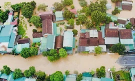 Giải mã về tên gọi của cơn bão số 4 CO-MAY (Cỏ may) do Việt Nam đặt tên