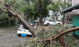 Hà Nội khuyến cáo người dân hạn chế ra đường khi bão số 9 Ragasa tiến sát