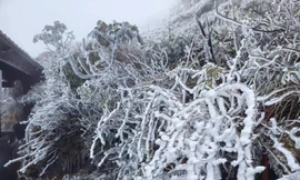 Du khách có thể “săn tuyết” ở miền núi phía Bắc dịp nghỉ Tết Dương lịch 2026