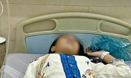 Mâu thuẫn từ việc làm tổ trưởng, nữ sinh lớp 8 ở An Giang bị bạn đánh hội đồng