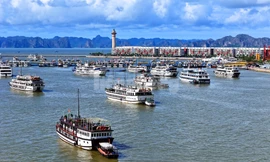 Sau bão, các đoàn tàu Quảng Ninh vươn khơi