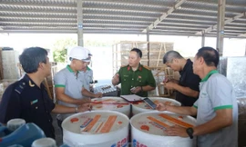 Triệt phá đường dây buôn lậu qua cửa khẩu đặc biệt lớn