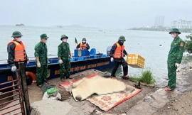 Phát hiện thêm một nạn nhân vụ lật tàu trên vịnh Hạ Long